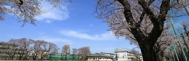 学校写真